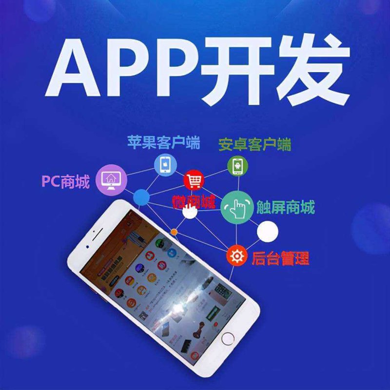 APP开发服务